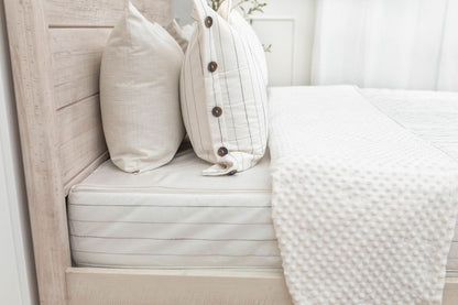 Taylor Luxe Sham